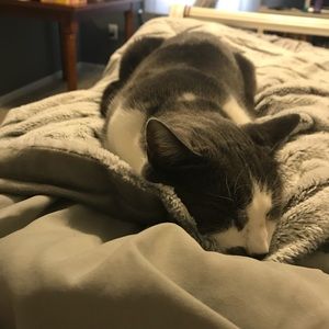 Meet your Posher, Carly